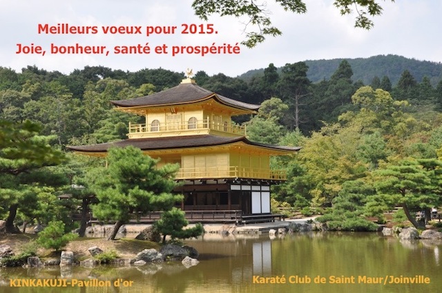 Karaté Club de Saint Maur - VOEUX 2015