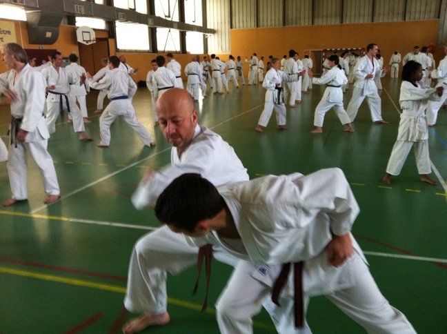 Karate club de Saint Maur - stagiaires