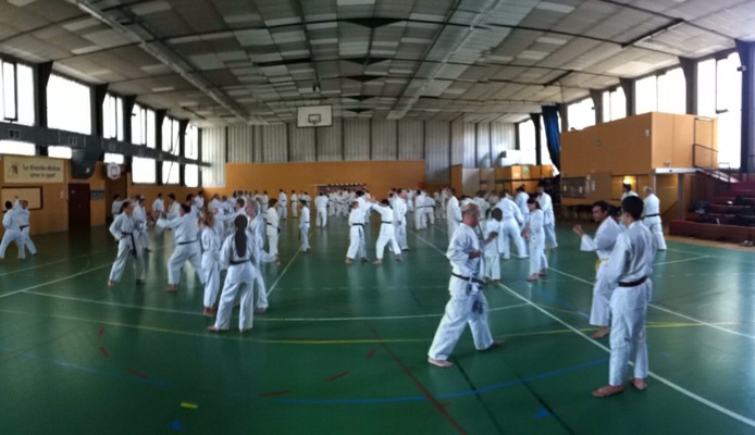 Karate club de Saint Maur - stagiaires