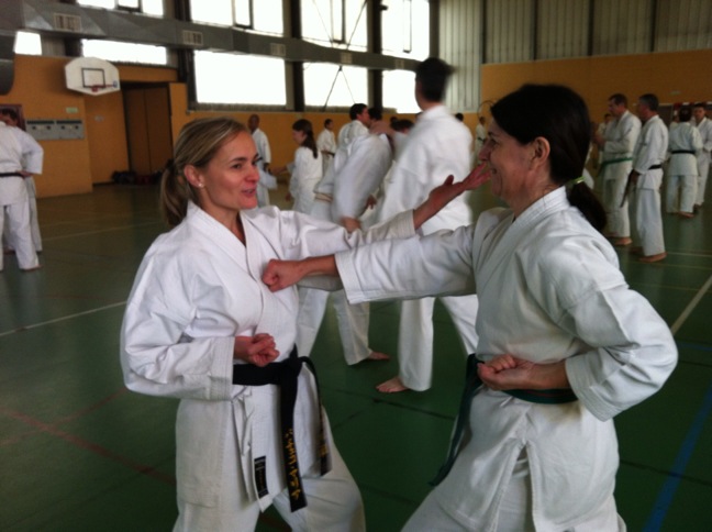 Karate club de Saint Maur - stagiaires