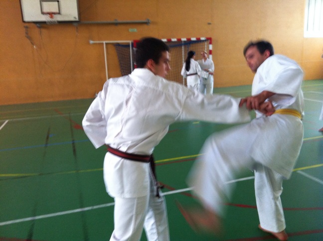 Karate club de Saint Maur - stagiaires