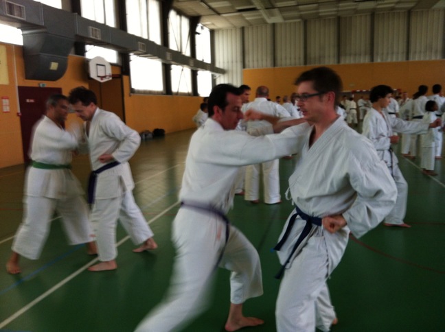 Karate club de Saint Maur - stagiaires