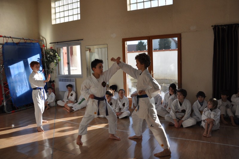 Karate club de Saint maur - Stage enfant février 2009 Karate club de Saint maur - Stage enfant février 2009