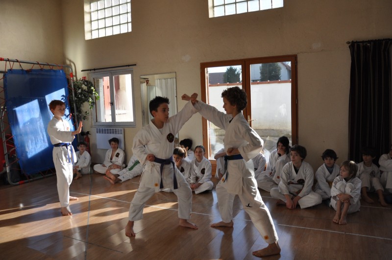 Karate club de Saint maur - Stage enfant février 2009