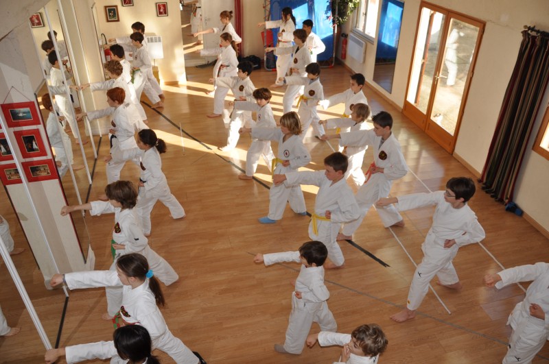 Karate club de Saint maur - Stage enfant février 2009 Karate club de Saint maur - Stage enfant février 2009
