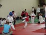 karate club de Saint Maur - combat catégorie poussin 